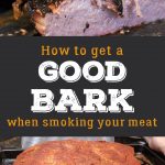 How to get a good bark