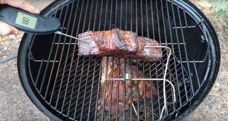 Thermometer probes in meat