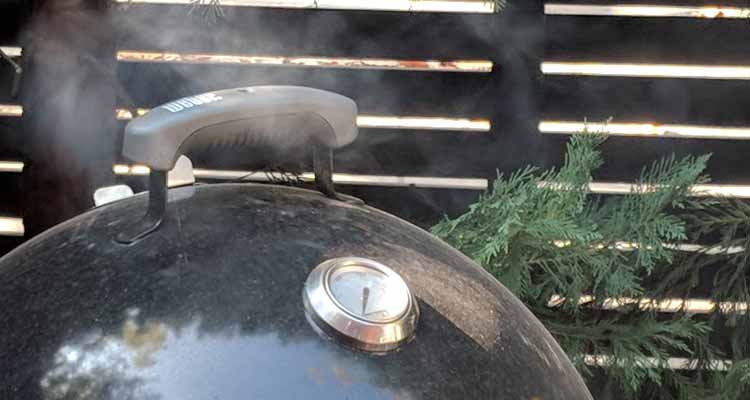 First smoke on a weber smokey mountain