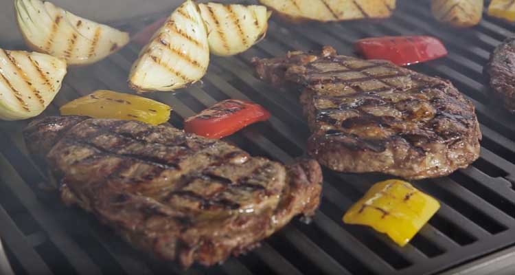 Weber Spirit E310 grill grates