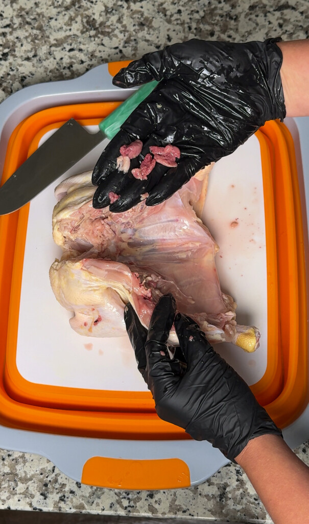 a black gloved hand holding raw chicken giblets with a raw chicken in the background