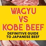 graphic image showing cuts of wagyu and kobe beef