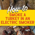 how to smoke a turkey in an electric smoker