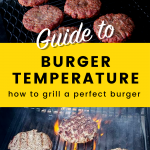 hamburger temperature
