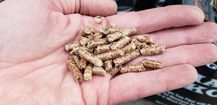 wood pellets in a palm of a hand