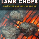 grilled lamb chops