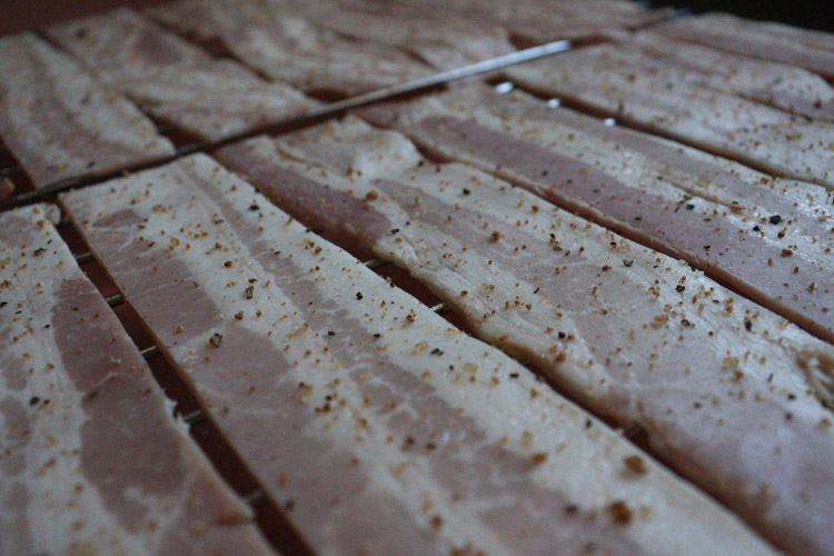 bacon strips with seasoning sprinkled on