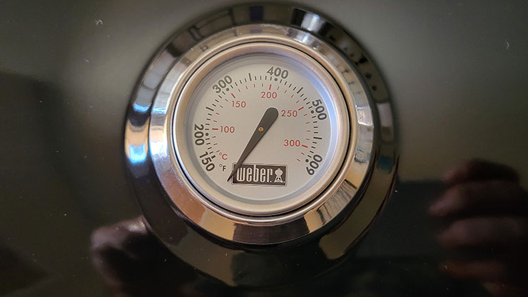 weber traveler temperature controller