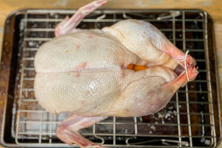 raw duck, trussed on a wire rack