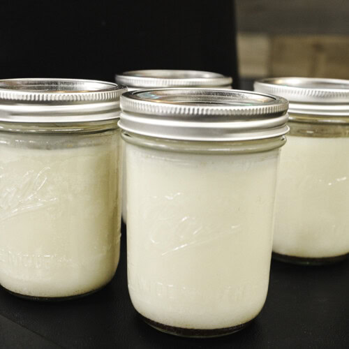 Four glass mason jars filled with creamy white rendered beef tallow, arranged on a black grill shelf.
