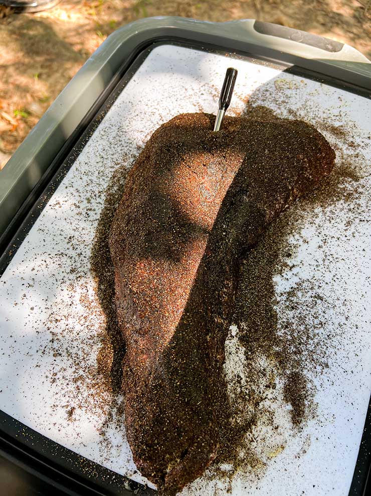 ThermoPro TempSpike inside a piece of meat