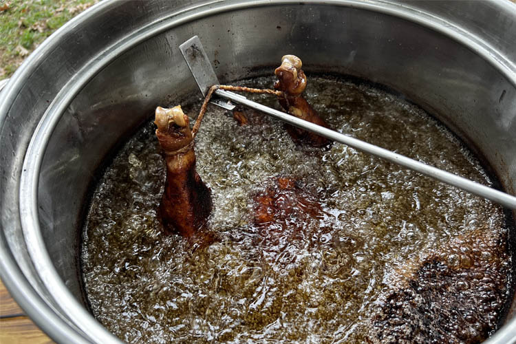 turkey nearly fulled submerged into hot oil