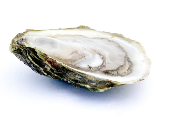 Real Oyster Cult - Fresh Oysters Delivered