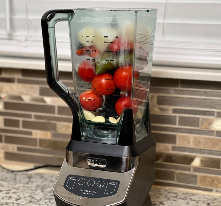 salsa ingredients in the ninja blender