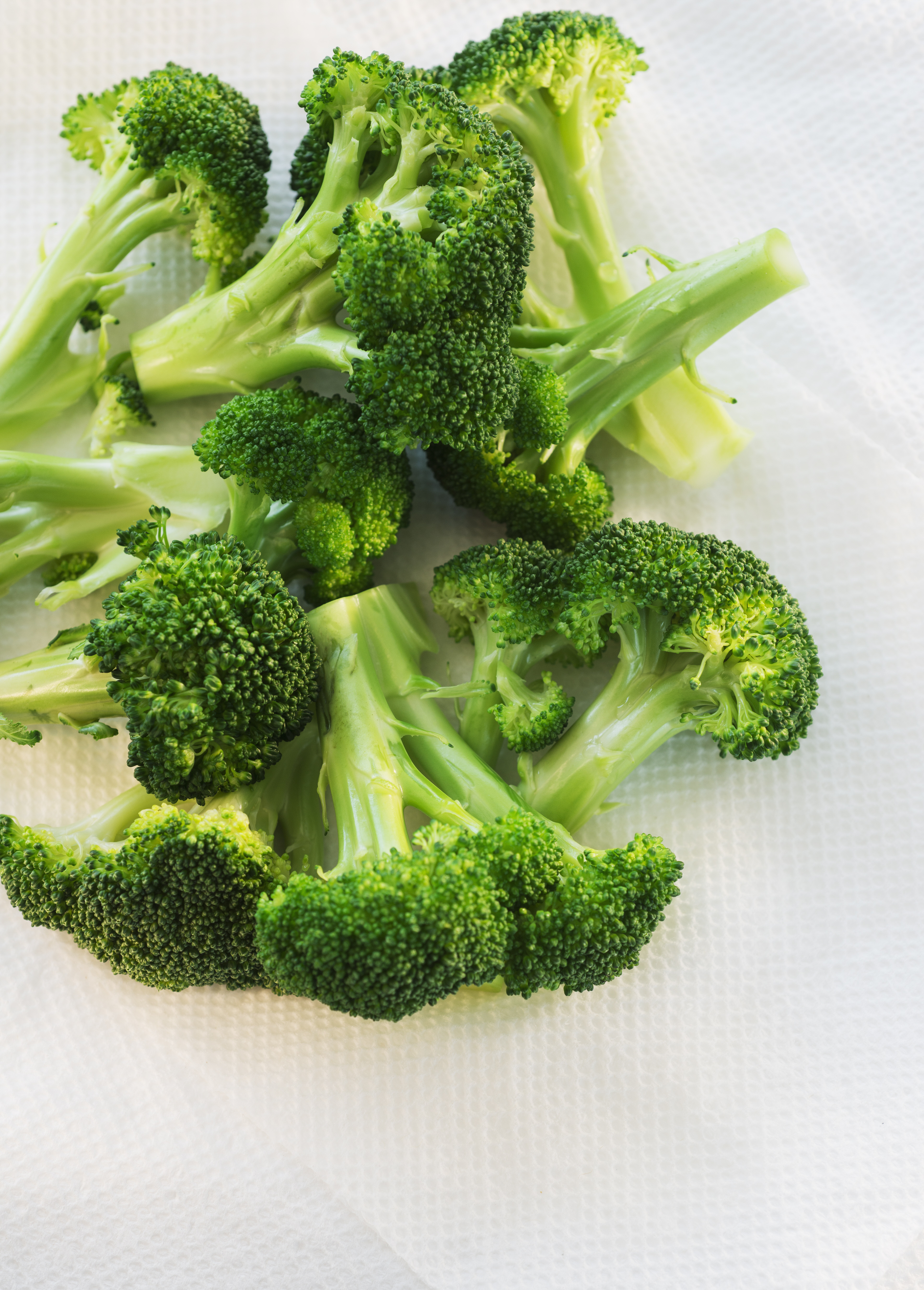 Broccoli