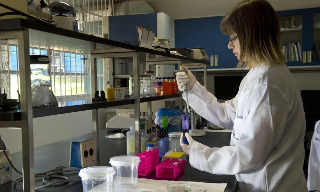 BRAZIL-SENEGAL-SCIENCE-HEALTH-ZIKA-VIRUS