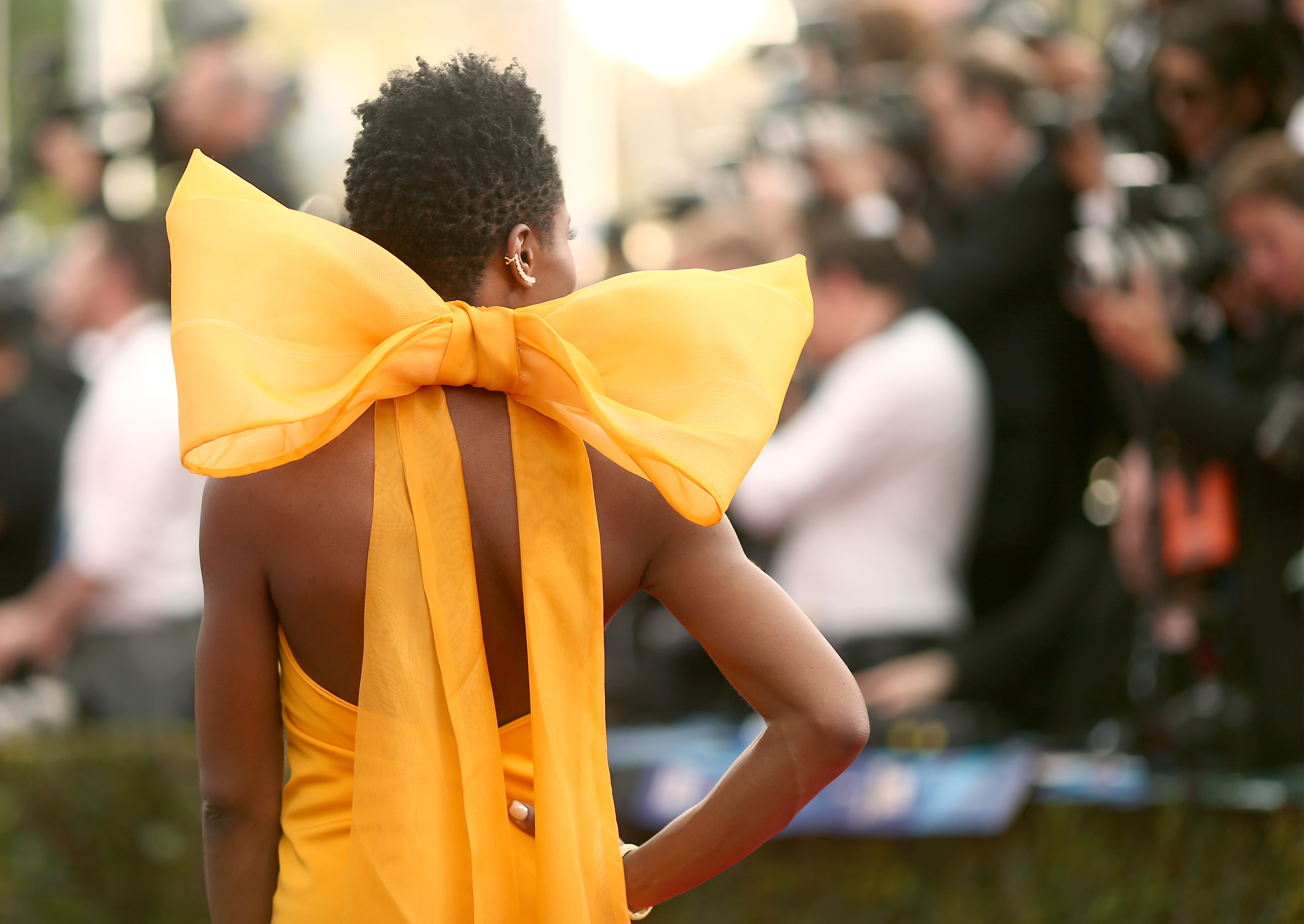 The 22nd Annual Screen Actors Guild Awards - Red Carpet