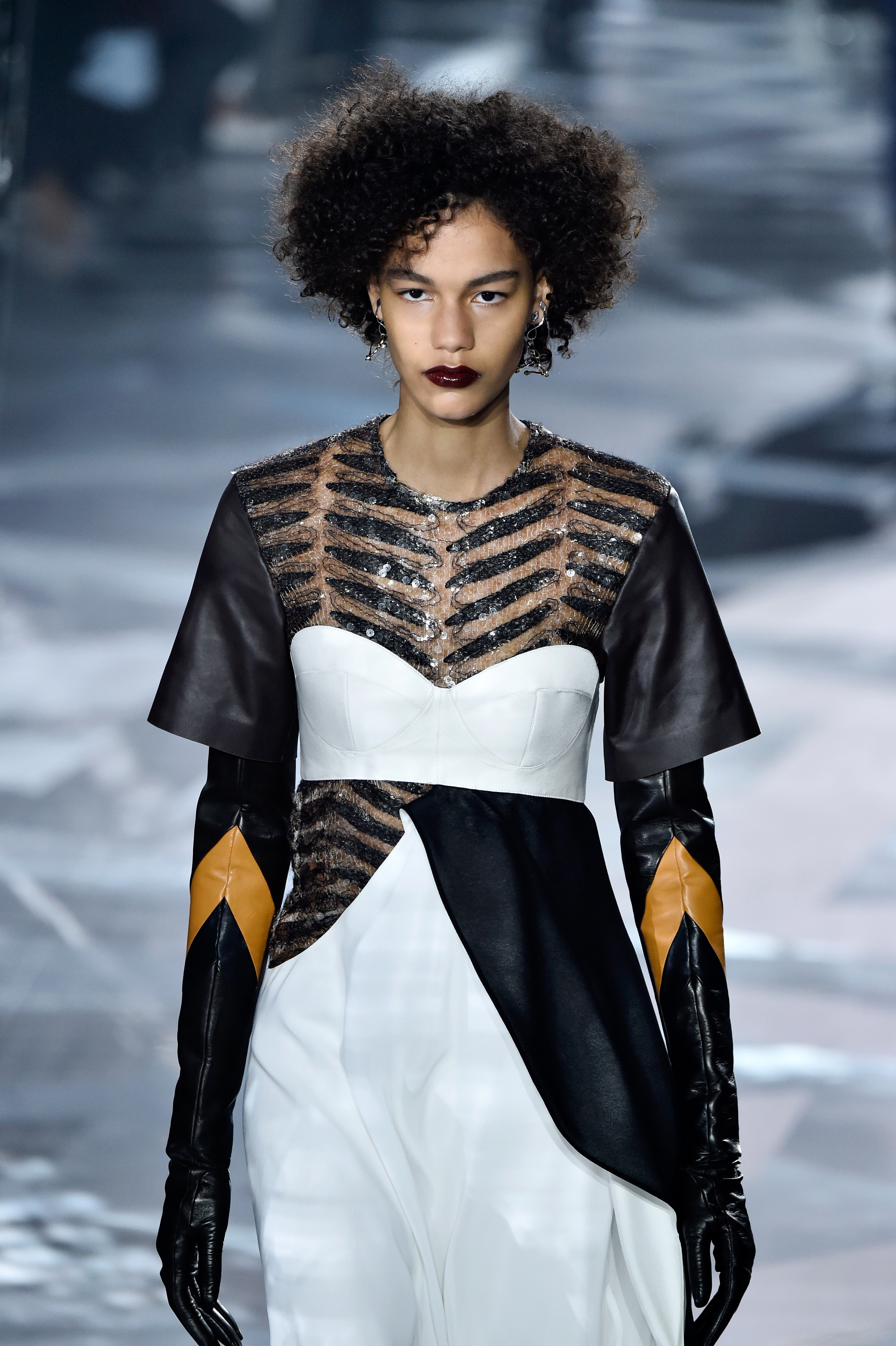 Louis Vuitton : Runway - Paris Fashion Week Womenswear Fall/Winter 2016/2017