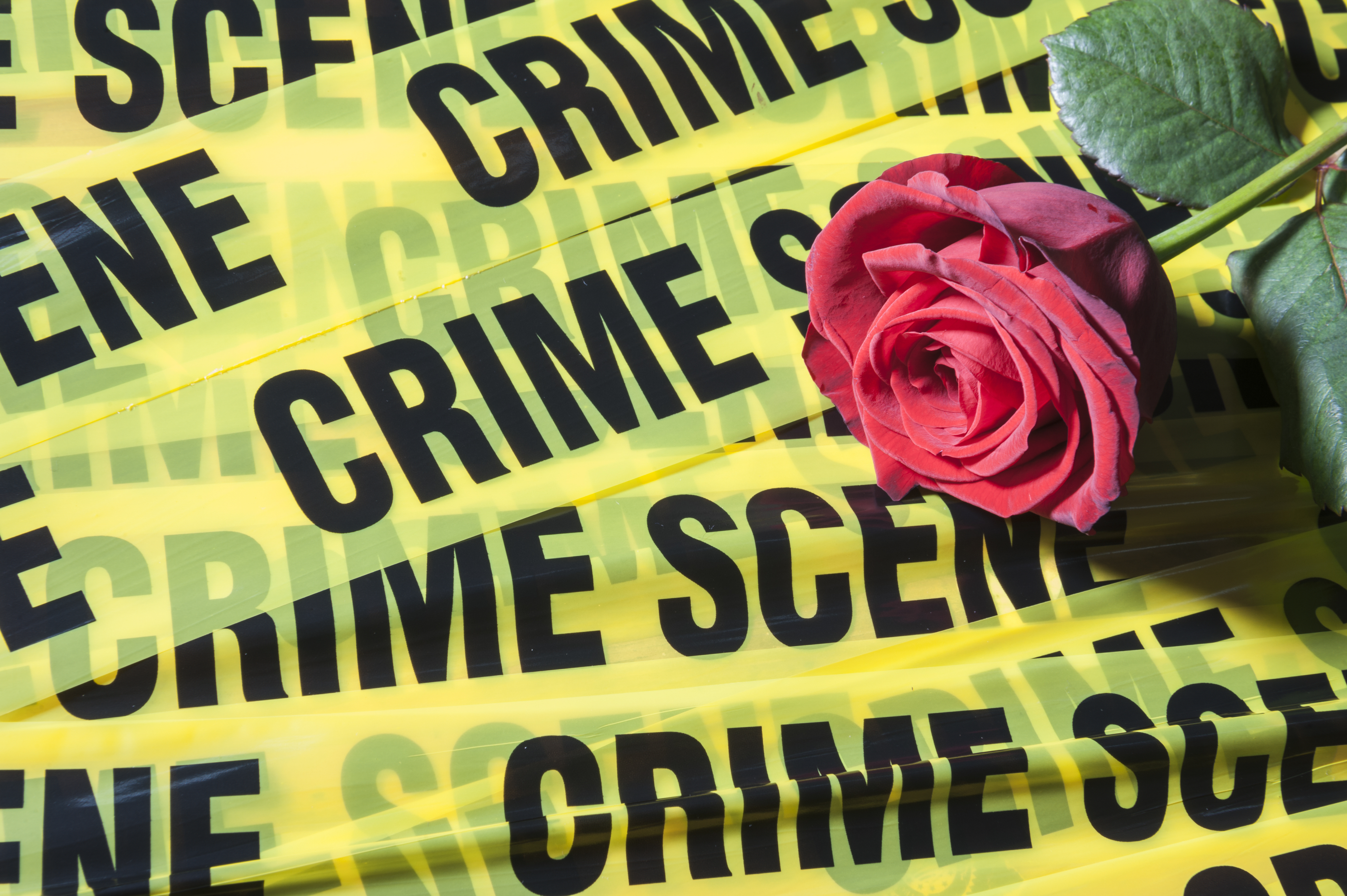 Crime scene tape and a red rose
