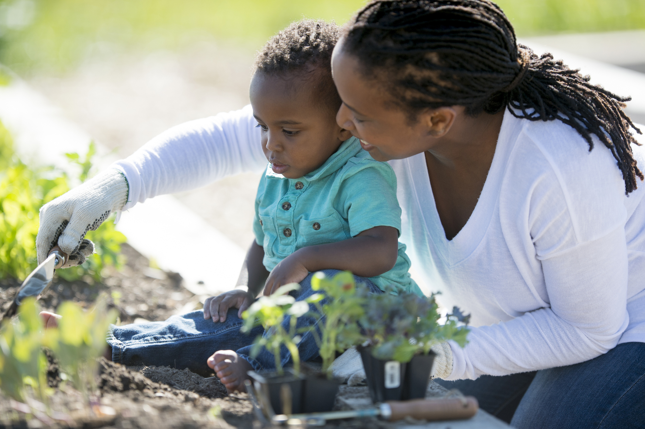 Digging and Planting Vegetables