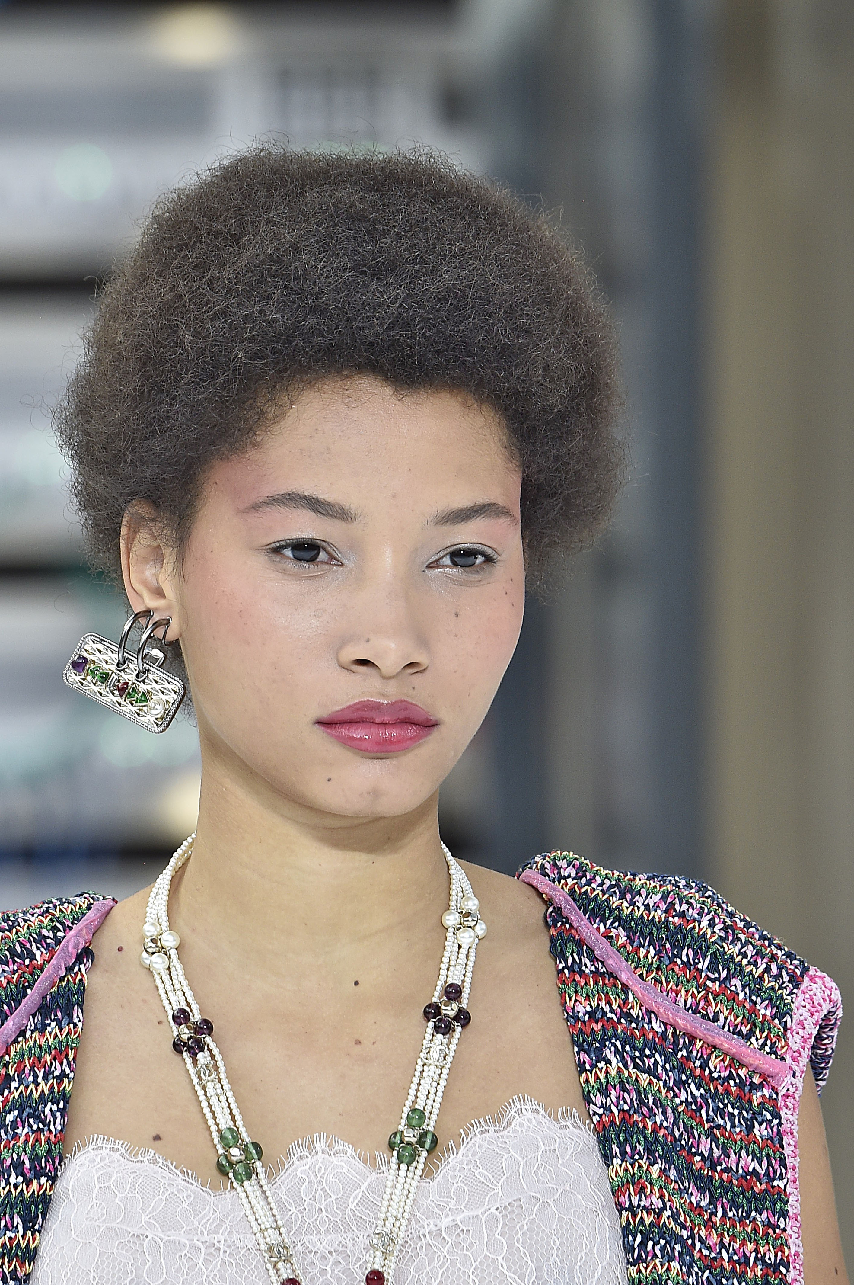 Chanel : Runway - Paris Fashion Week Womenswear Spring/Summer 2017
