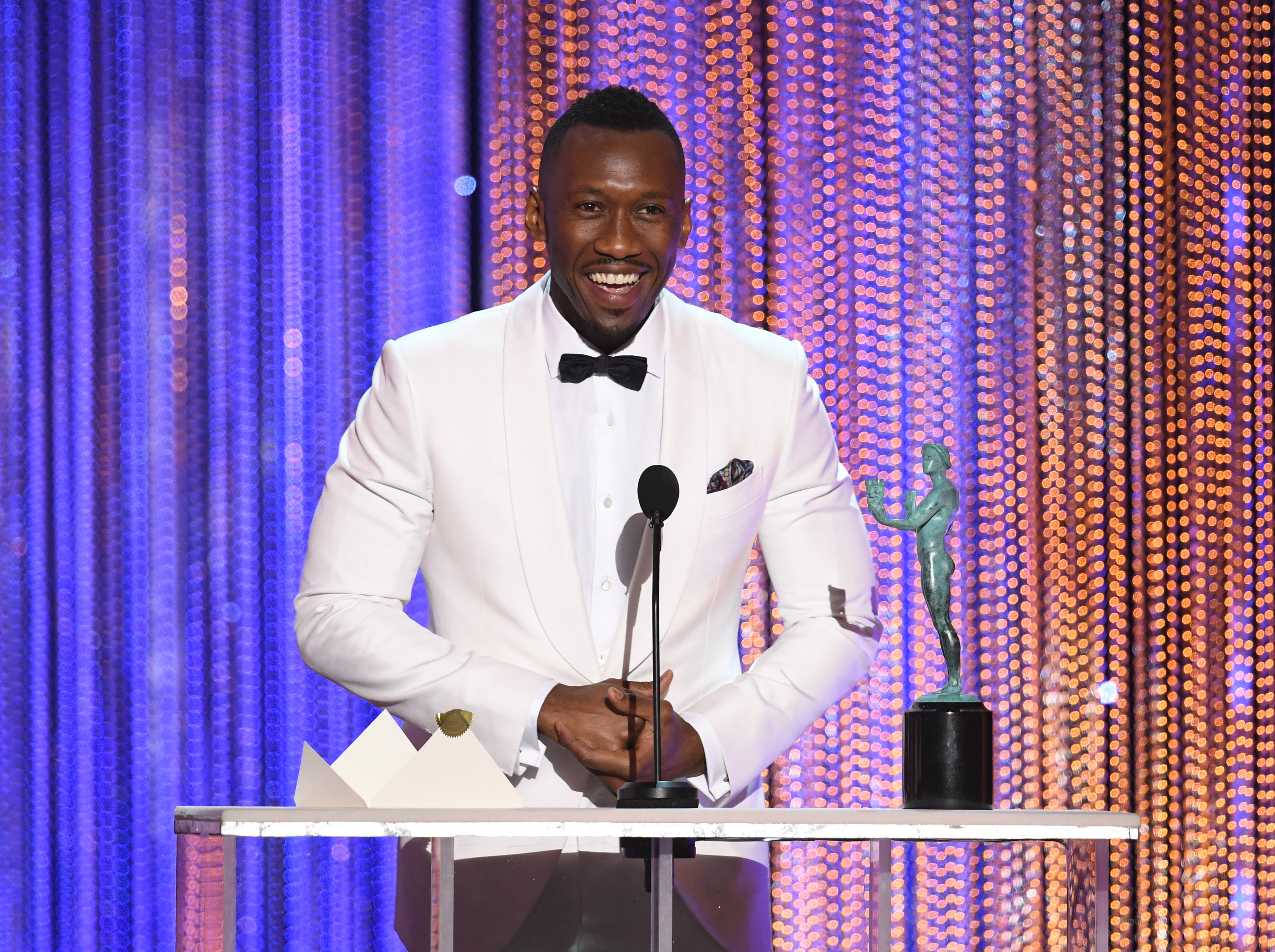 The 23rd Annual Screen Actors Guild Awards - Show