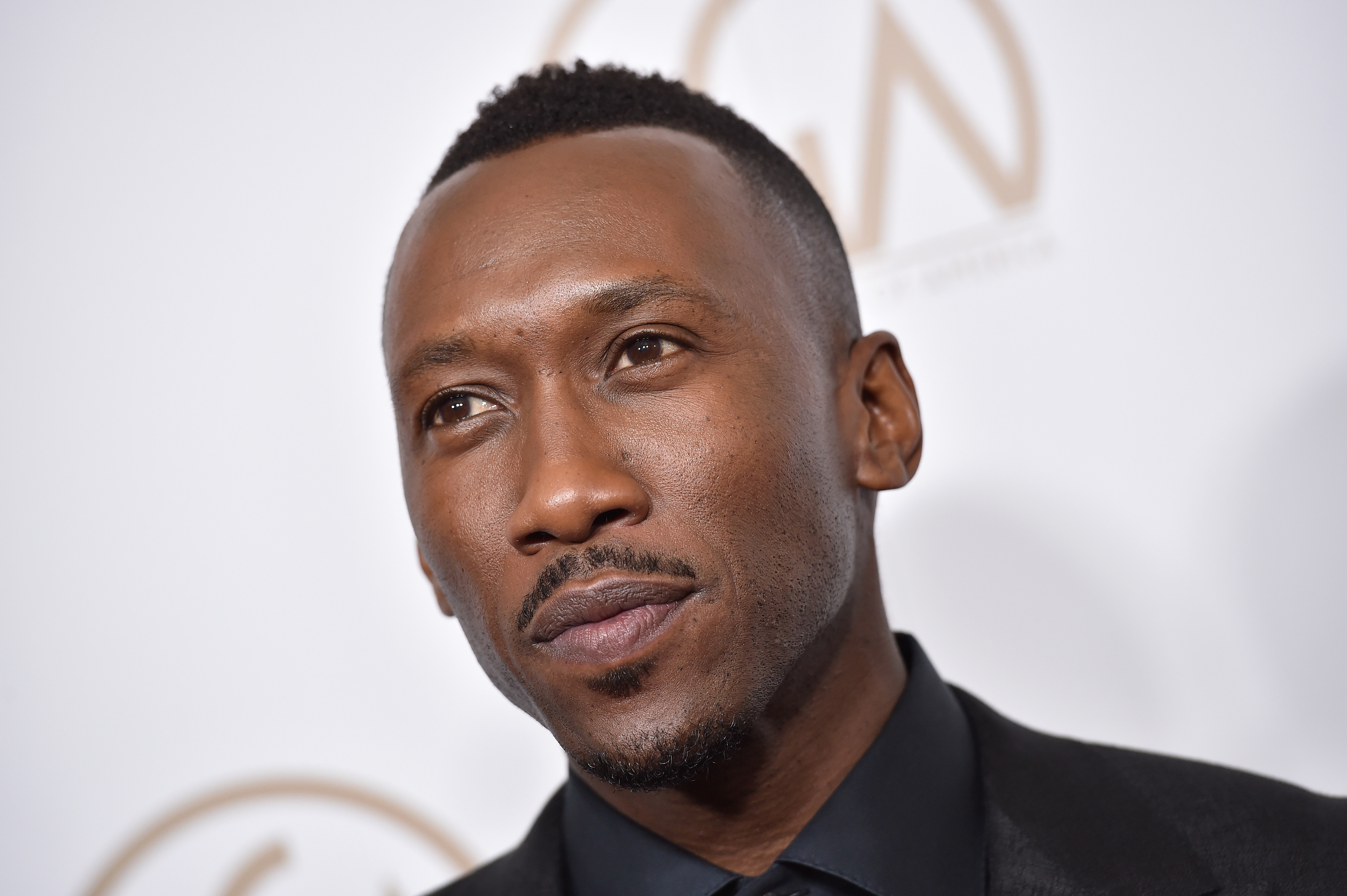28th Annual Producers Guild Awards - Arrivals