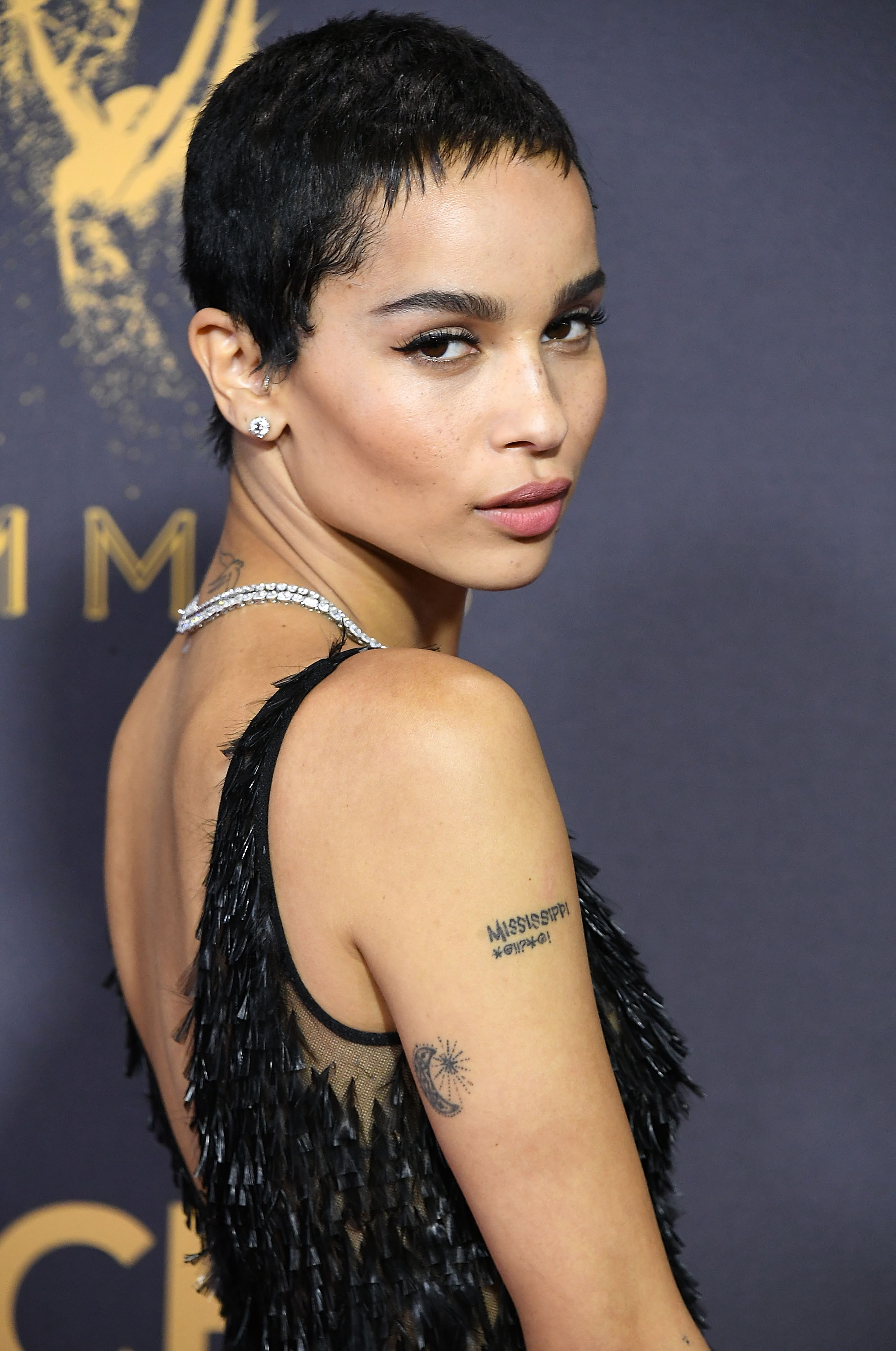 69th Annual Primetime Emmy Awards - Arrivals