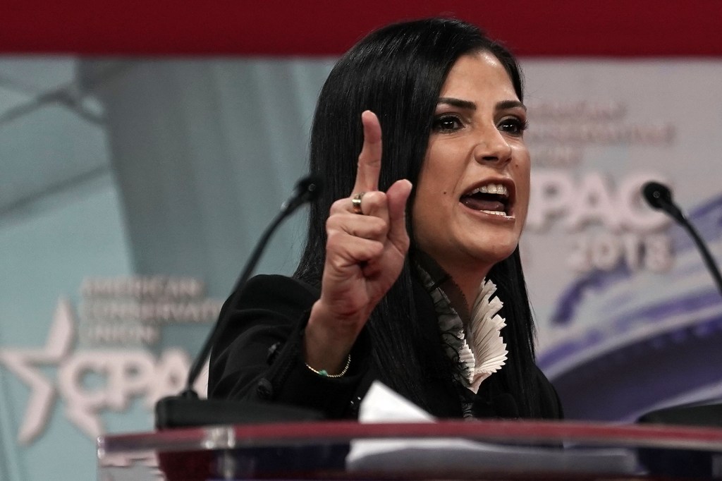 Dana Loesch Dana Loesch