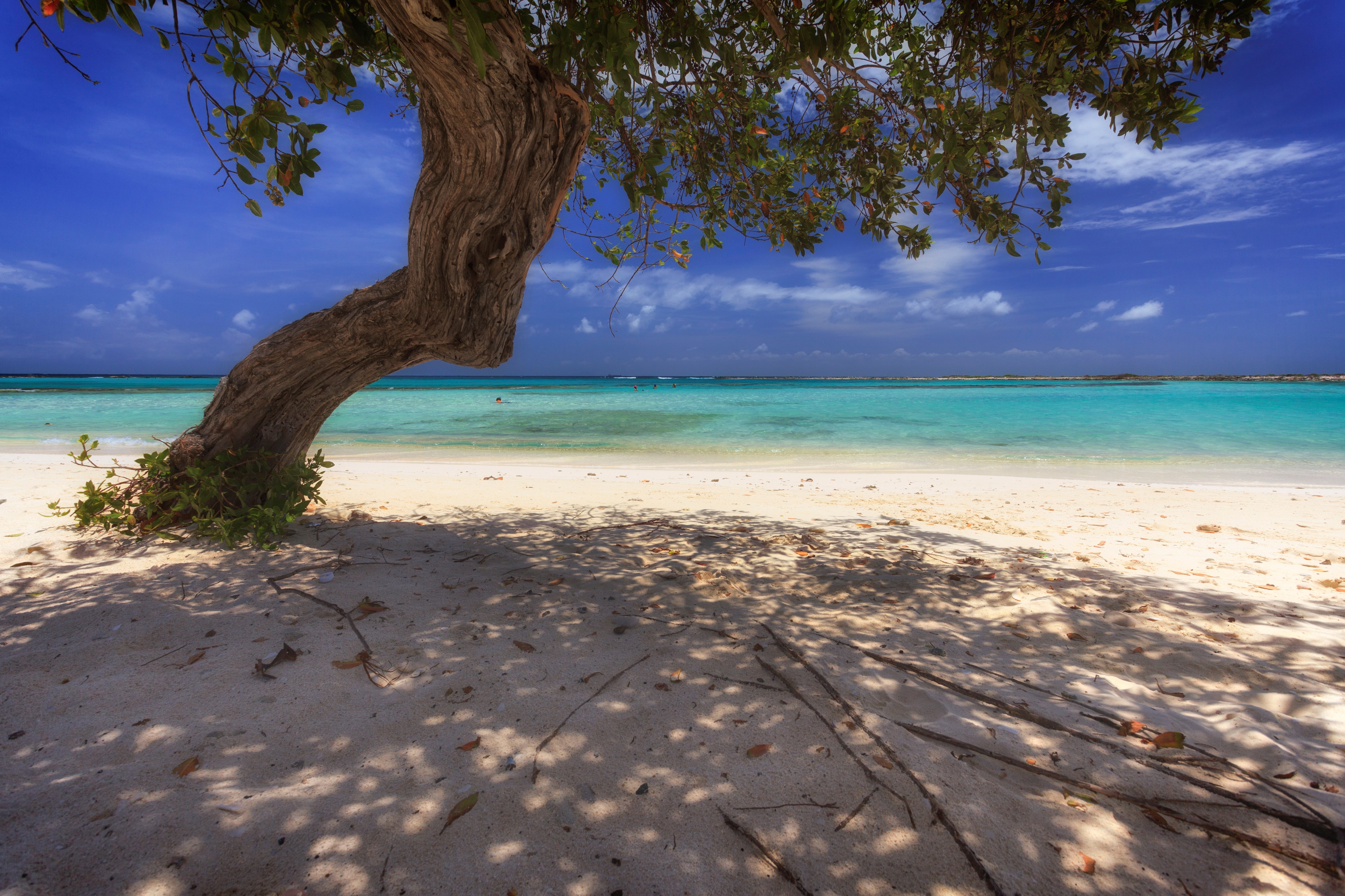 Beach Aruba ABC Islands Netherlands Antilles Caribbean Central America