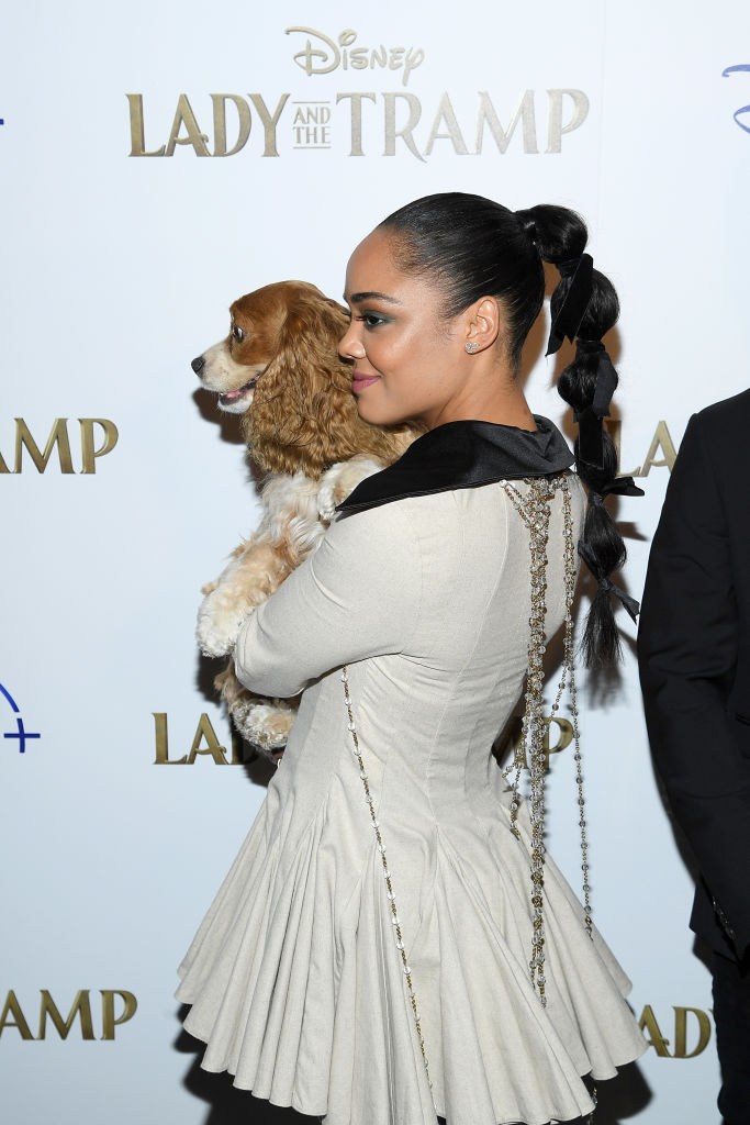 Cinema Society Hosts Special Screening Of Disney+'s "Lady And The Tramp" - Red Carpet