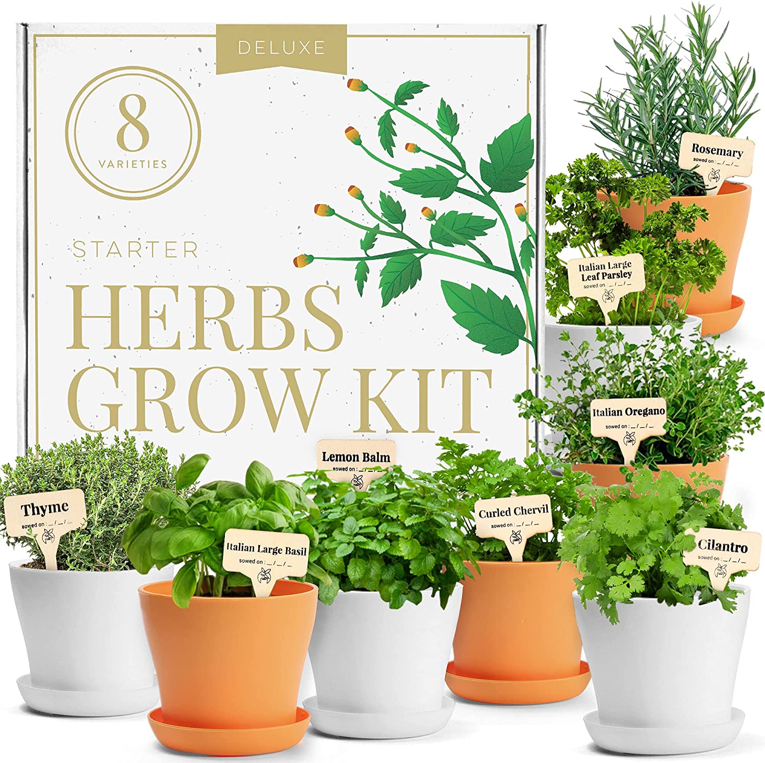 For The Dad With the Green Thumb