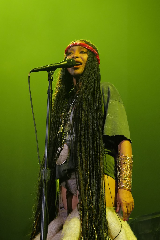 Erykah Badu concert