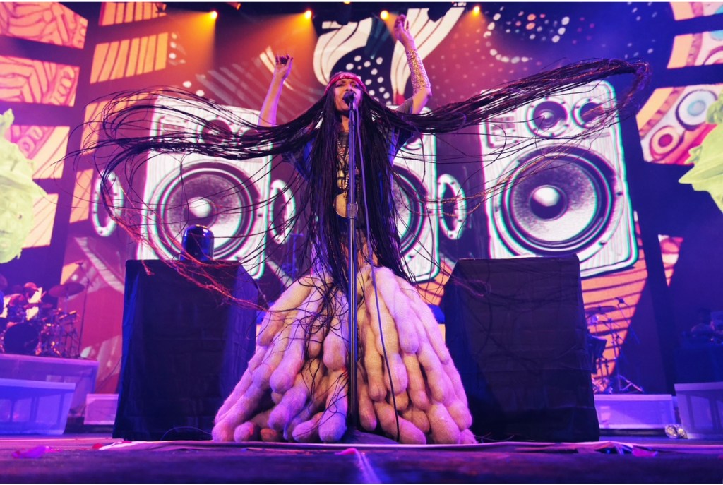Erykah Badu concert
