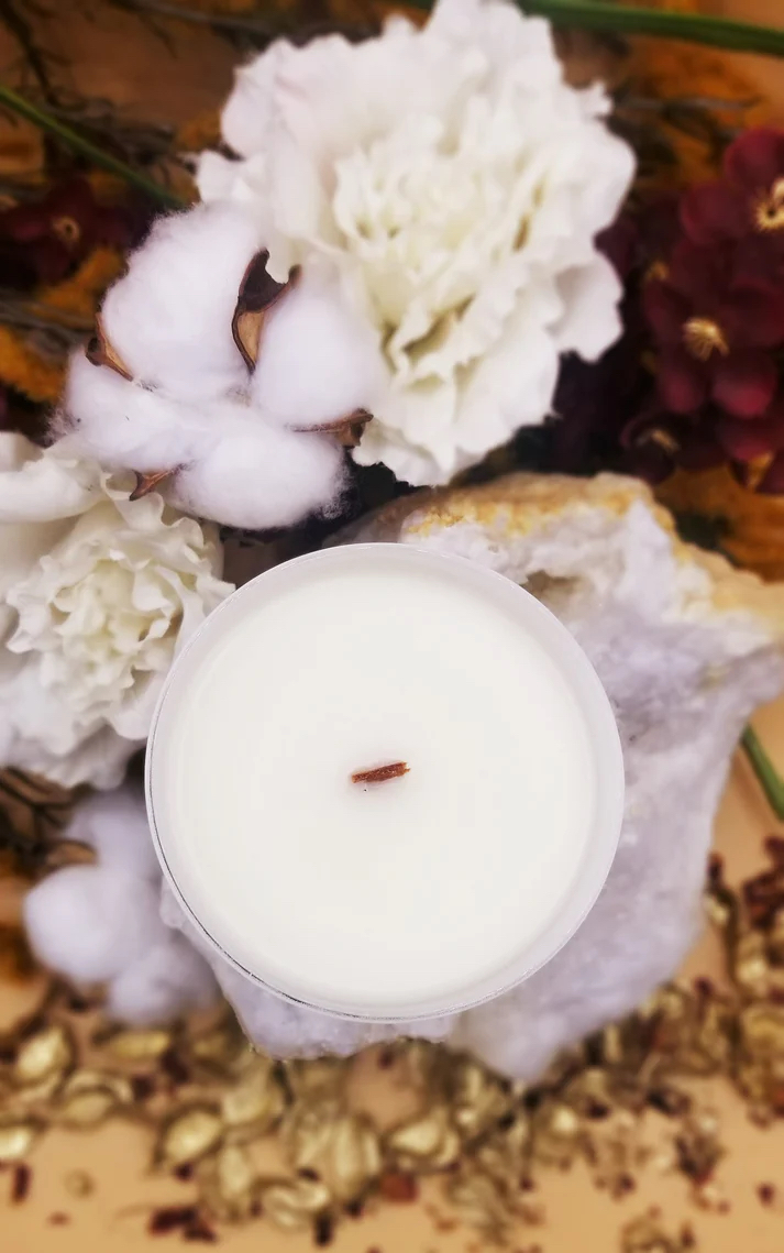 Alchemy Body Shop Harvest Candle 