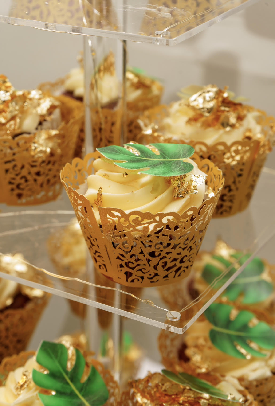 The Cupcakes