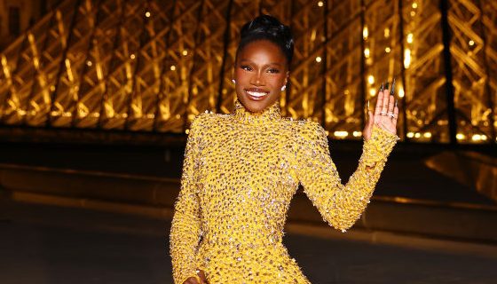 "Le Grand Diner du Louvre" Arrivals Photocall