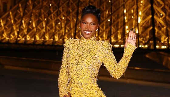 "Le Grand Diner du Louvre" Arrivals Photocall