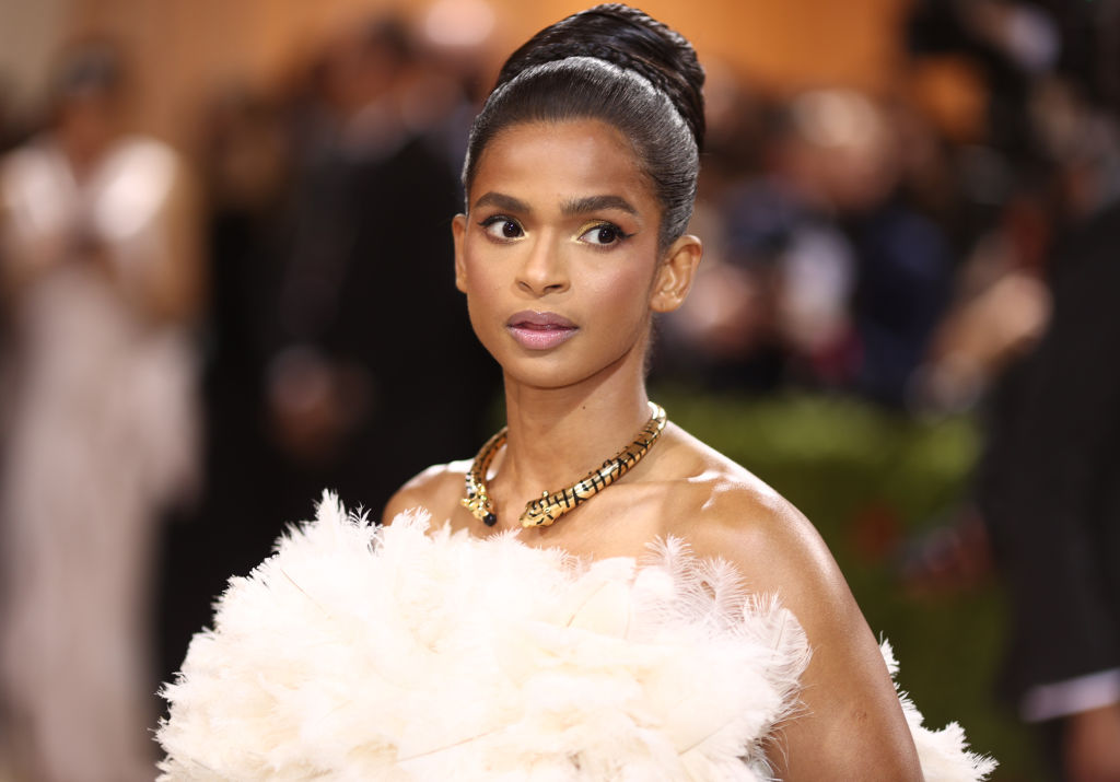 The 2022 Met Gala Celebrating In America: An Anthology of Fashion - Arrivals