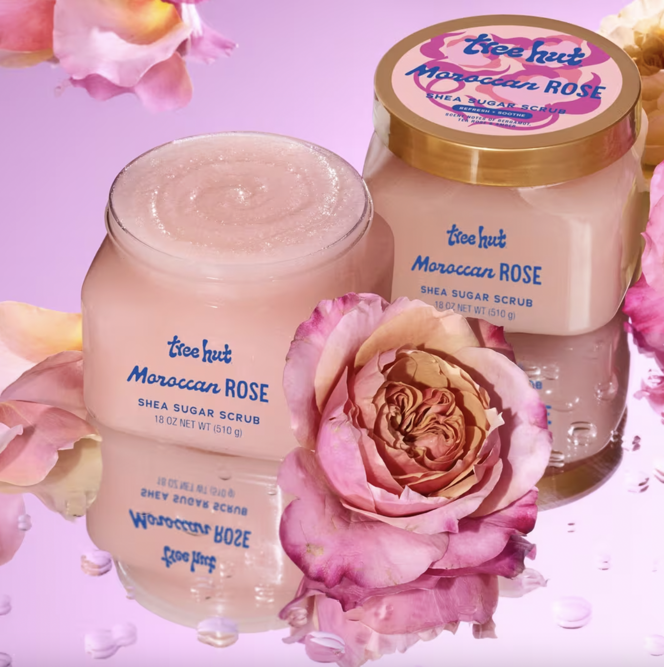Tree Hut Moroccan Rose Shea Sugar Scrub